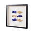 Comprar Cuadro Vitrina Calypso 50x50cm online en KitMuebles