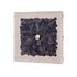 Cuadro vitrina Siren con plumas gris antracita y núcleo de concha natural. Diseño orgánico y sofisticado para decoración de pared moderna. 60x60 cm.