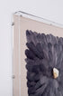 Comprar Cuadro Vitrina Siren 60x60cm online en KitMuebles