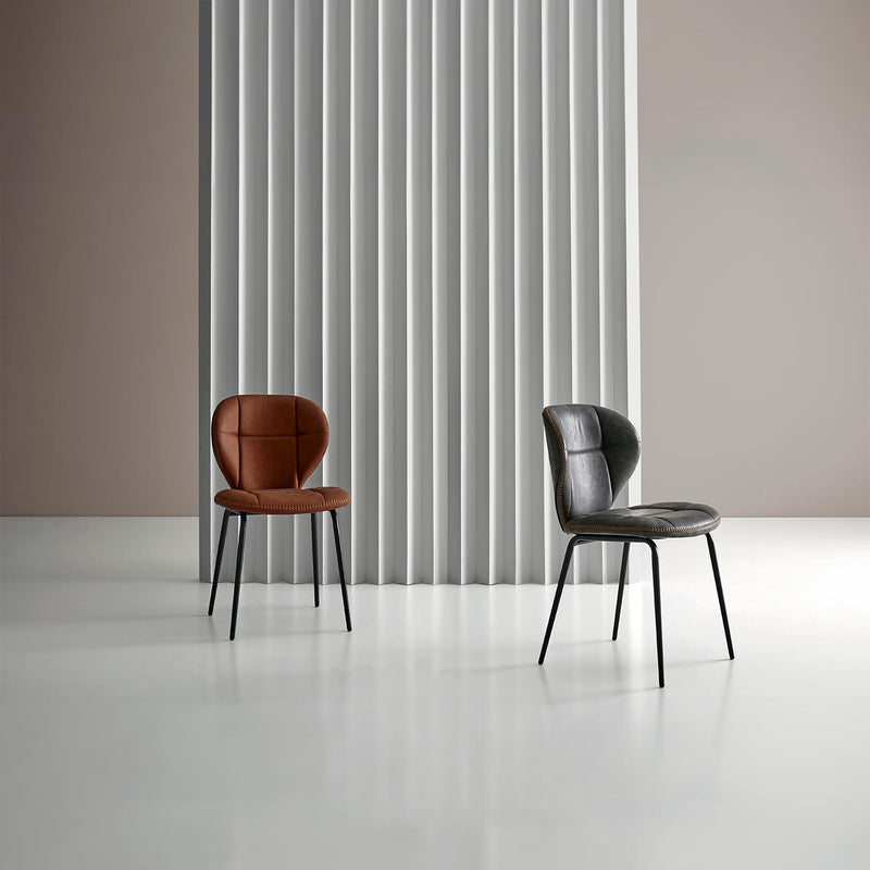 Silla Dafne