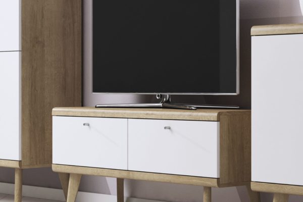 Mueble TV Primo con puerta estilo nórdico
